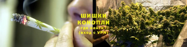 гашик Арсеньев