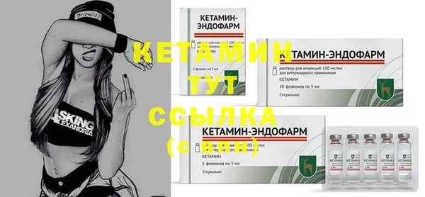 гашик Арсеньев