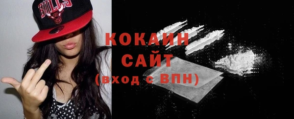 гашик Арсеньев
